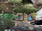 Garten - 3RWE mit Balkon und alleinig nutzbarem Garten im beliebten Leipziger Waldstraßenviertel!