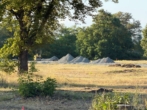 Garten - Erschließung hat bereits begonnen – Baugrundstück in Wurzen von 600-800 m²