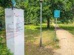 Bild - +++Top sanierte sonnige 3Raumwohnung+++